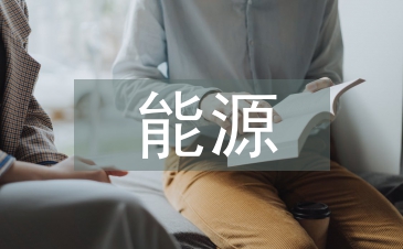 能源工作總結