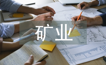 礦業(yè)公司工作總結(jié)